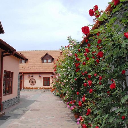 Pension Ela Sibiu Extérieur photo