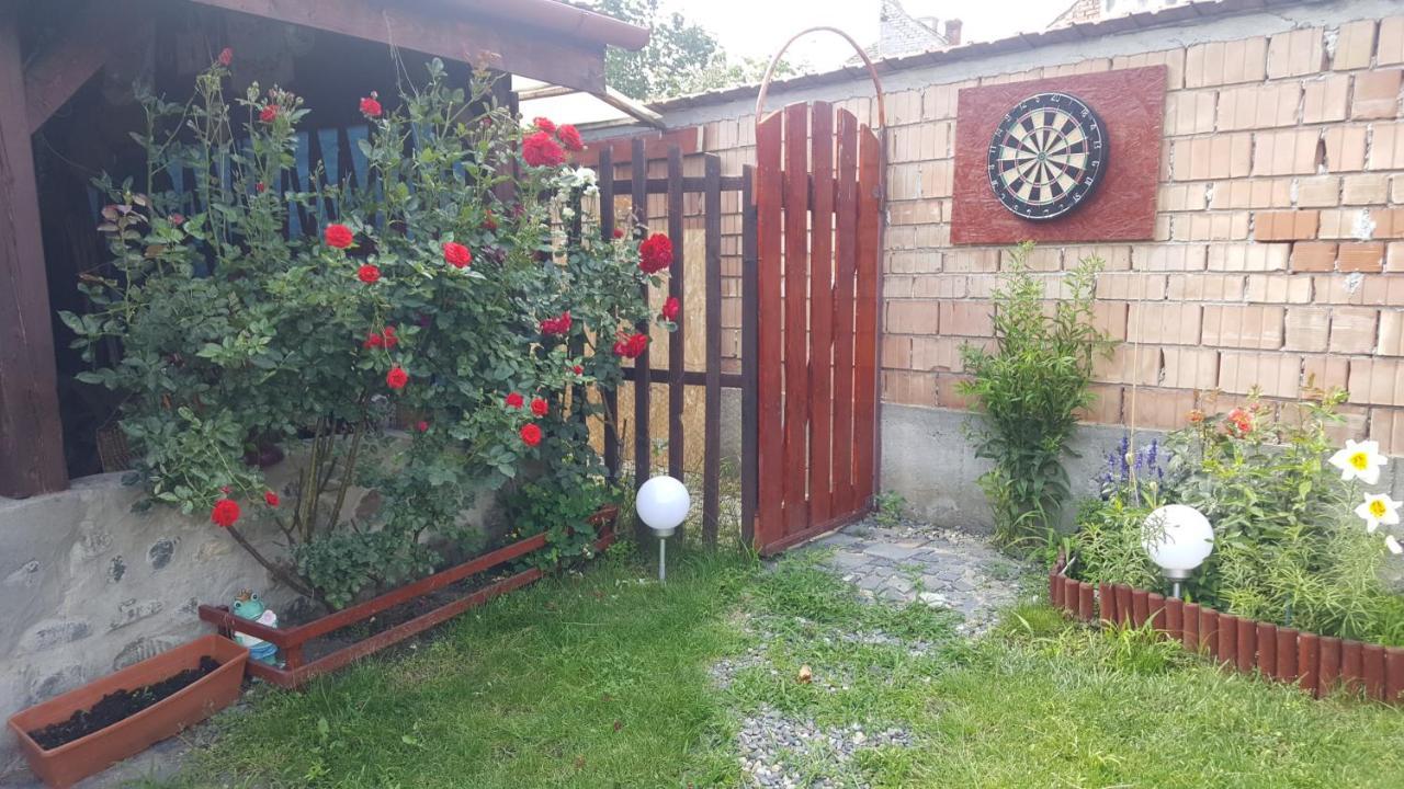 Pension Ela Sibiu Extérieur photo