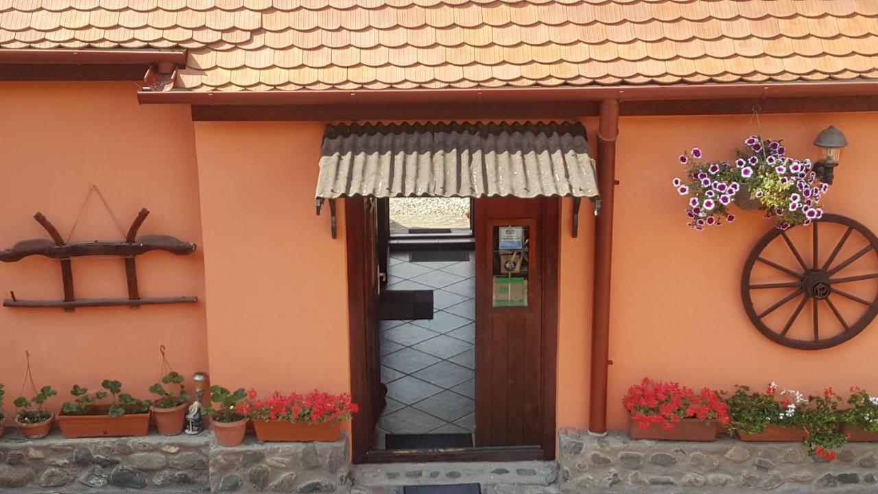 Pension Ela Sibiu Extérieur photo