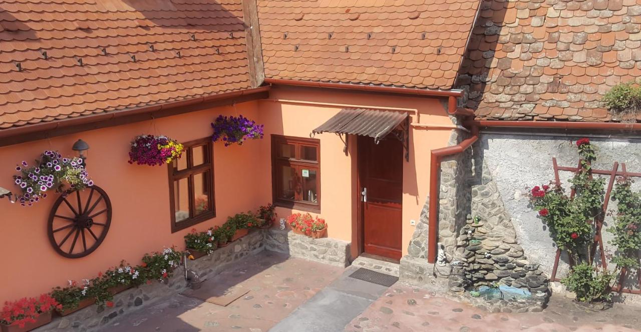 Pension Ela Sibiu Extérieur photo