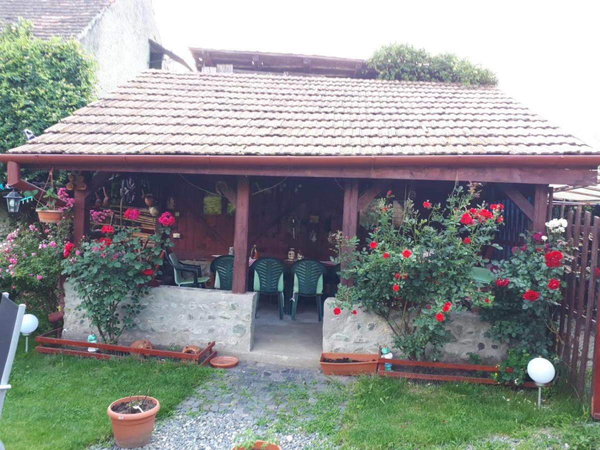 Pension Ela Sibiu Extérieur photo