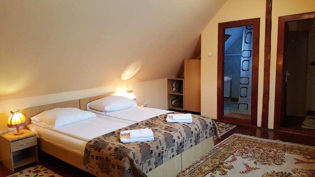 Pension Ela Sibiu Extérieur photo