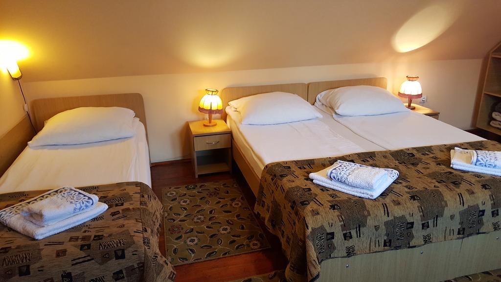 Pension Ela Sibiu Extérieur photo