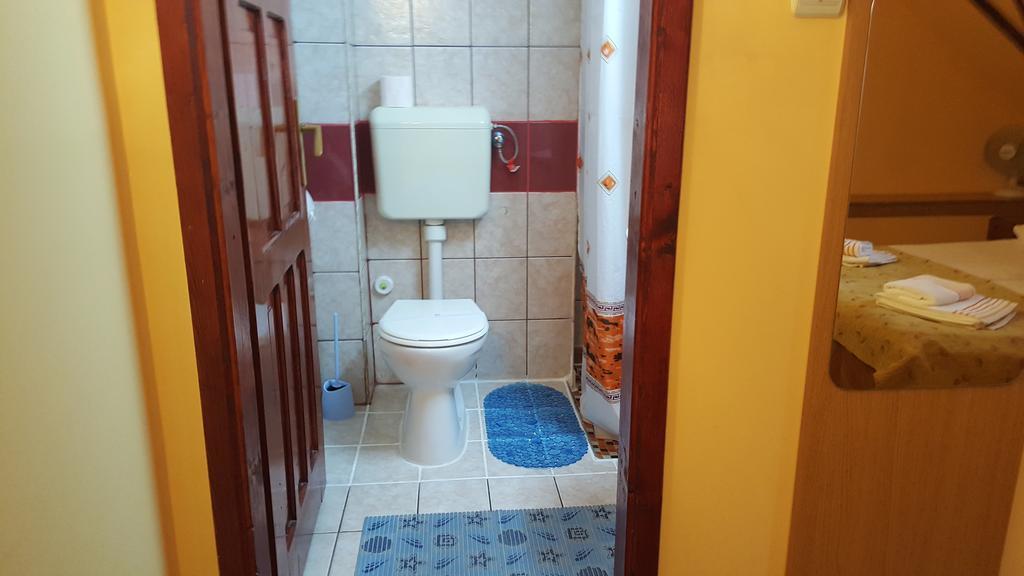 Pension Ela Sibiu Extérieur photo