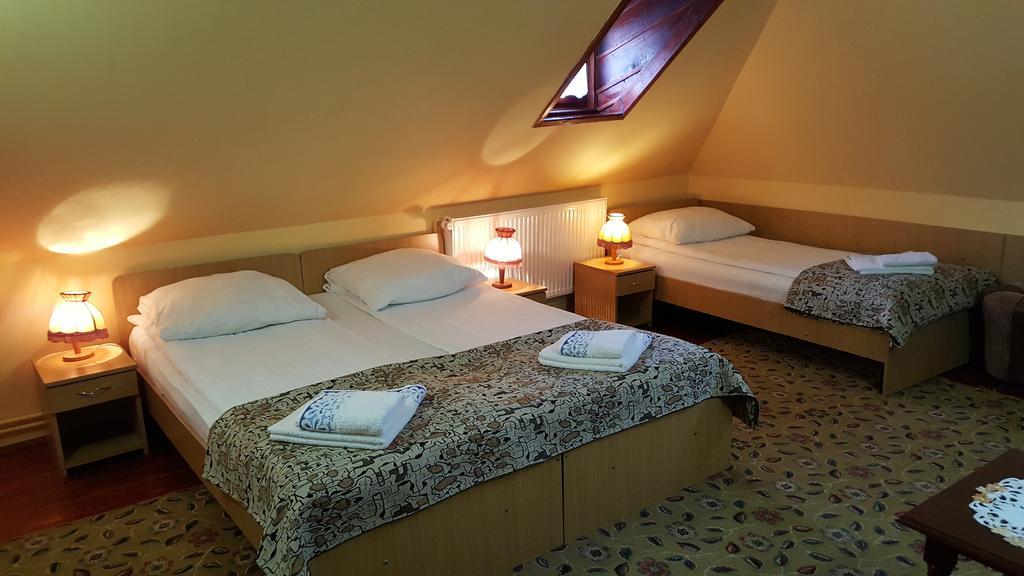 Pension Ela Sibiu Extérieur photo