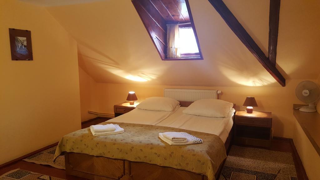 Pension Ela Sibiu Extérieur photo